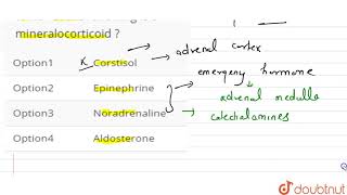 Which of the following is a mineralocorticoid [upl. by Lucy104]