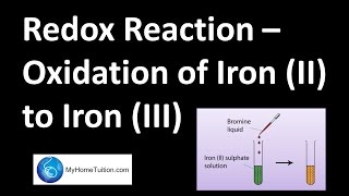 Redox Reaction  Oxidation of Iron II to Iron III  Redox Equilibrium [upl. by Yzzik]