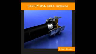 SKINTOP® MSM Brush  Innovative EMC Solution [upl. by Githens348]