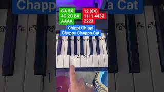 Chippi Chippi Chappa Chappa Cat Meme Piano Easy Tutorial 🐱 🎹 piano pianotutorial [upl. by Nevah]