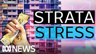 Strata debts sending more Aussie homeowners bankrupt  The Business  ABC News [upl. by Nalor647]