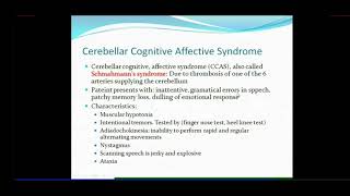 CEREBELLUM  Clinical and Applied Anatomy of Cerebellum  Dr Azmi Mohsin [upl. by Koffler]