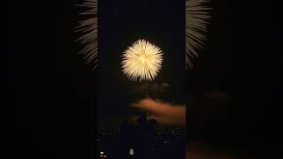 Thee major fireworks in Japan Nagaoka festival 2024 [upl. by Corissa]