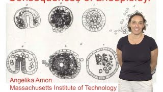 Angelika Amon MIT and HHMI Part 1 Review of the Study of Aneuploidy [upl. by Damaris631]