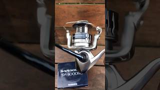 REEL SHIMANO SARAGOSA SW 6000 HG [upl. by Vasilek]