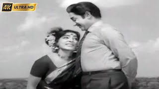 எதிரொலி திரைப்படத்தின் பாடல்கள்  ethiroli movie songs  KVMahadevan  Sivaji Ganesan KRVijaya [upl. by Elva349]