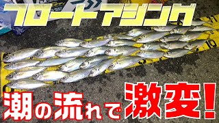 【フロートアジング入門②】潮の流れを理解するとアジは釣れます＜大阪湾釣り＞ [upl. by Ennaimaj]