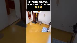 smart Dog and delivery 😜🤣🙃😂😆funny [upl. by Lulu]