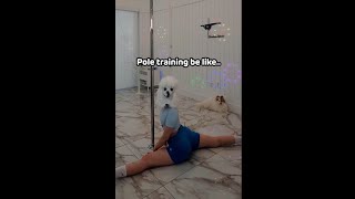 Pole training be like [upl. by Dlanod843]