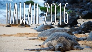 HAWAII 2016  CESTOVÁNÍ 1 [upl. by Aneel]