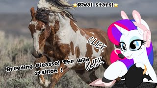 Breeding Picasso The wild stallion ⭐️Rival stars⭐️ [upl. by Enomed165]