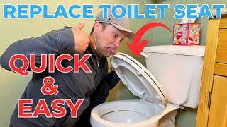 How to Replace a Toilet Seat [upl. by Crisey627]