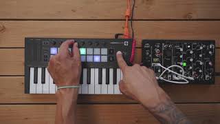 Arpeggiator  Launchkey Mini  Novation [upl. by Millwater616]