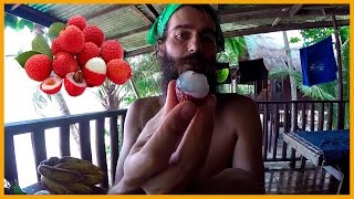 HOW TO OPEN A LYCHEE IN THE SIMPLEST AND EASIEST WAY [upl. by Anayaran]