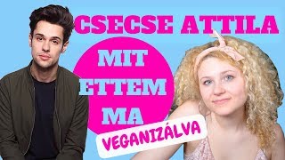 CSECSE ATTILA Mit ettem ma VEGANIZÁLVA [upl. by Sadoc594]