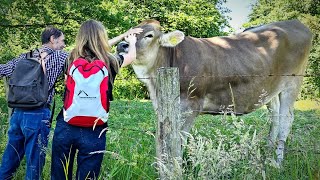 Cafe Gammersbacher Mühle Сказочное кафе с павлинами кенгуру пони цесаркими и кроликами [upl. by Naryk578]