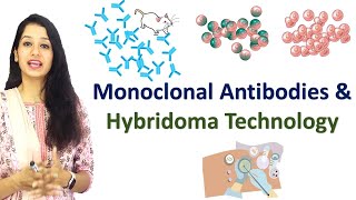 Monoclonal Antibodies and Hybridoma Technology I Immunotechniques I Immunology [upl. by Gershom]