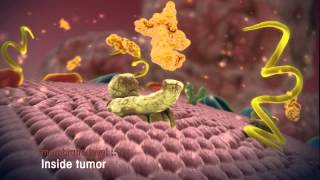 Radiopeptides destroy tumor cells [upl. by Sinnek627]