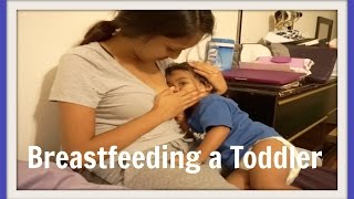 Breastfeeding a Toddler  April 25 2016  Ex2L [upl. by Baxter]