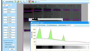 Image Lab Analysis Tutorial [upl. by Romano]