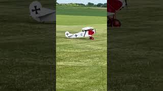 Balsa USA D7 landing rc airplane rcplane landing balsausa radiocontrol gas planespotting [upl. by Asiret900]