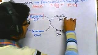 Metronidazole mode of action [upl. by Odnavres]