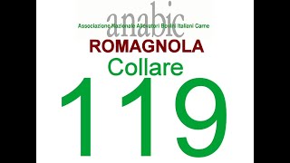 ROMAGNOLA  COLLARE 119 IT040990119896 [upl. by Pandich]