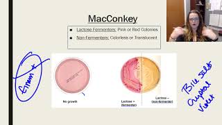 Laboratory tests media and techniques [upl. by Hun582]