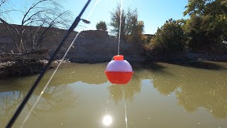 Bobber Fishing with Live Minnows [upl. by Teodora821]