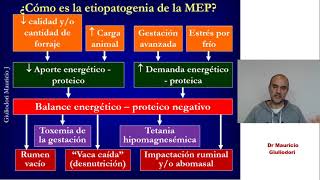 Malnutrición energético proteica síndrome hipofermentativo o insuficiencia ruminal o rumen inactivo [upl. by Bidle374]