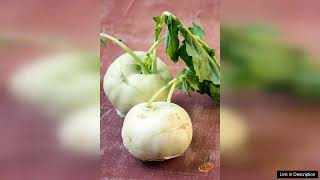 Kohlrabi Delicatesse White – Seeds Review [upl. by Abey713]