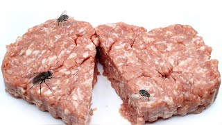 Timelapse  MINCED MEAT with FLY MAGGOTS [upl. by Assed]