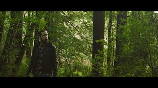 Avriel amp The Sequoias  Fields And Pier Official Video [upl. by Yrannav]