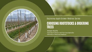 Beginning Apple Grower Choosing Rootstocks and Ordering Trees Video [upl. by Nomi]