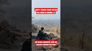 SETUJUKAH JIKA PETRUS DI AKTIFKAN KEMBALI 🥶😱 tniindonesia news tnia tnirakyat memes tni tniad [upl. by Lashoh]