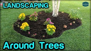 Landscaping  Edging  Mulching Around Trees [upl. by Alyce]