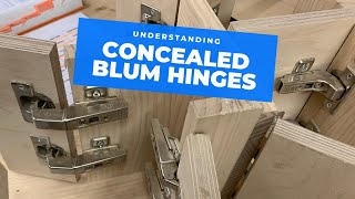 All the main Blum hinge types explained [upl. by Harris539]