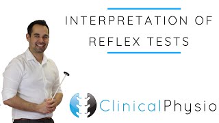 Interpretation of Reflex Tests  Clinical Physio [upl. by Iasi]