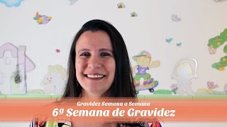 6ª Semana de gravidez [upl. by Nnaeinahpets]