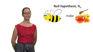 Null and alternative hypotheses with Lindsey Leach [upl. by Ytissac]