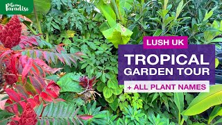 Great PLANTS for a TROPICAL style garden  Late season garden tour [upl. by Labotsirc]