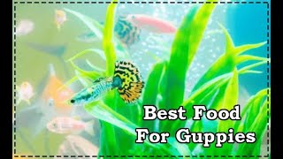 guppy food for fast growth fishvideo viralvideo [upl. by Shyamal]