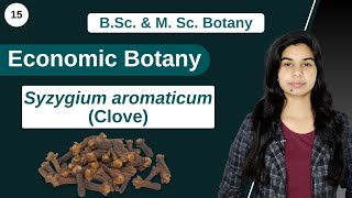 Economic Botany  Syzygium aromaticum  Clove  B Sc amp M Sc [upl. by Ecraep]