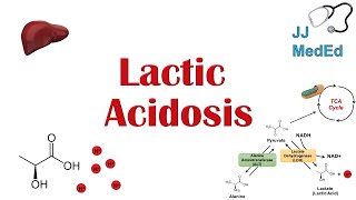 Lactic Acidosis What is it Causes ex metformin and Subtypes A vs B [upl. by Roxine]