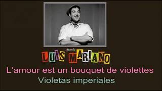 Karaoke Luis Mariano  Violetas Imperiales Lamour est un bouquet de violettes [upl. by Rehtul]