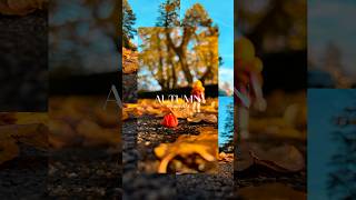 Autumn moments 🐿️🍄🍂💕 [upl. by Hagan]