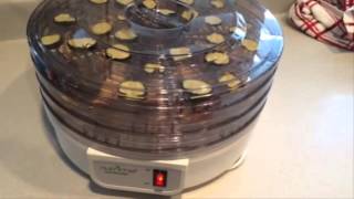 NutriChef Kitchen Electric Countertop Food Dehydrator Food Preserver White Review [upl. by Ylrebnik691]