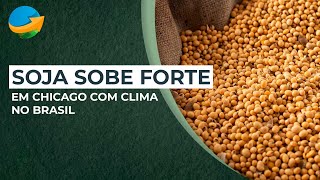 Soja sobe forte em Chicago com clima no Brasil e boas margens de esmagamento na China [upl. by Llekcir]