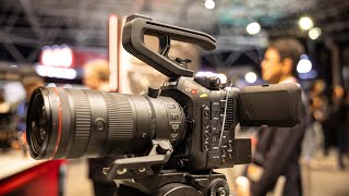 Novidades Canon na IBC 2024 Canon C80 e C400 [upl. by Lust272]