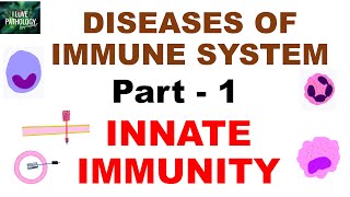 Diseases of immune system Part 1  Innate Immunity [upl. by Koss]